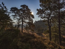 frederikshaab_plantage_20170509_2026644139